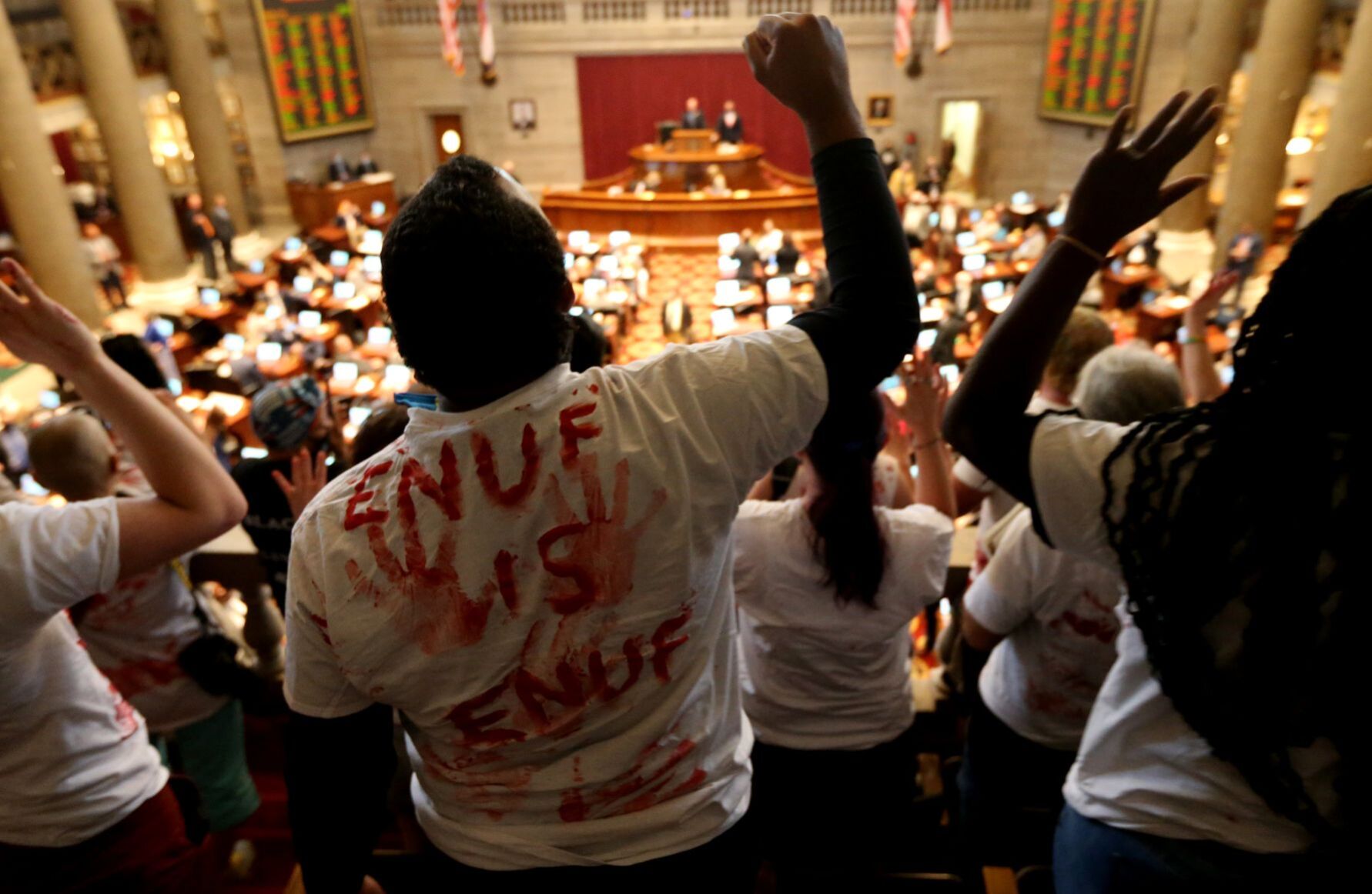 ExpectUsSTL protesters drop poster during House debate